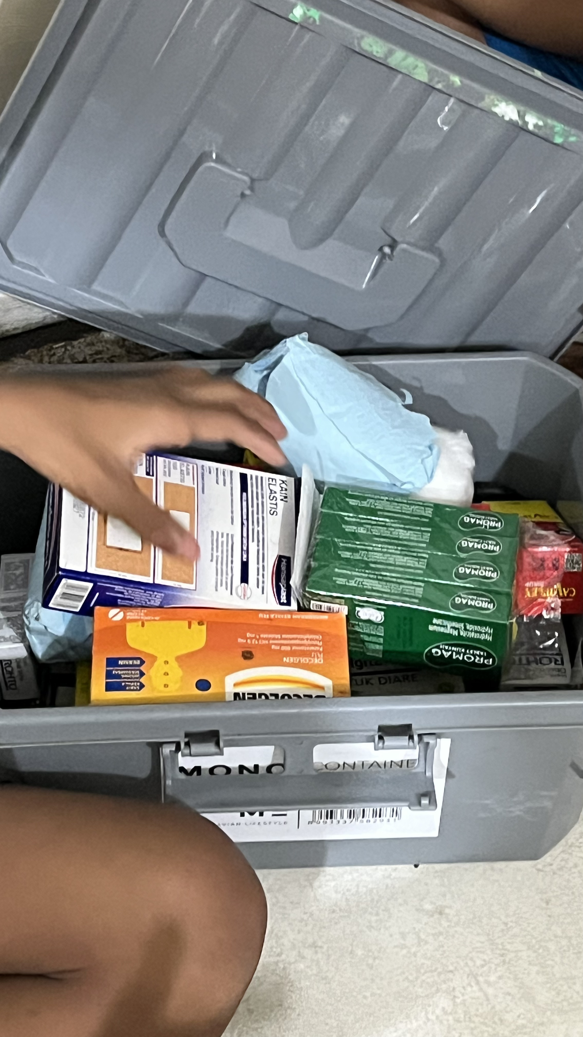 Stay Healthy and Fit